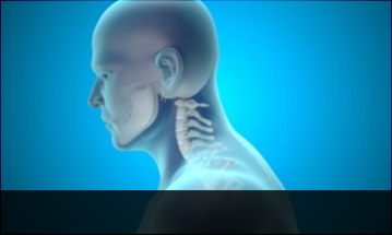 인천자생한방병원 목질환 일자목증후군-정상적인 C자형 목뼈 모습입니다.